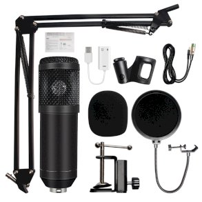 BM-800 MIC SET